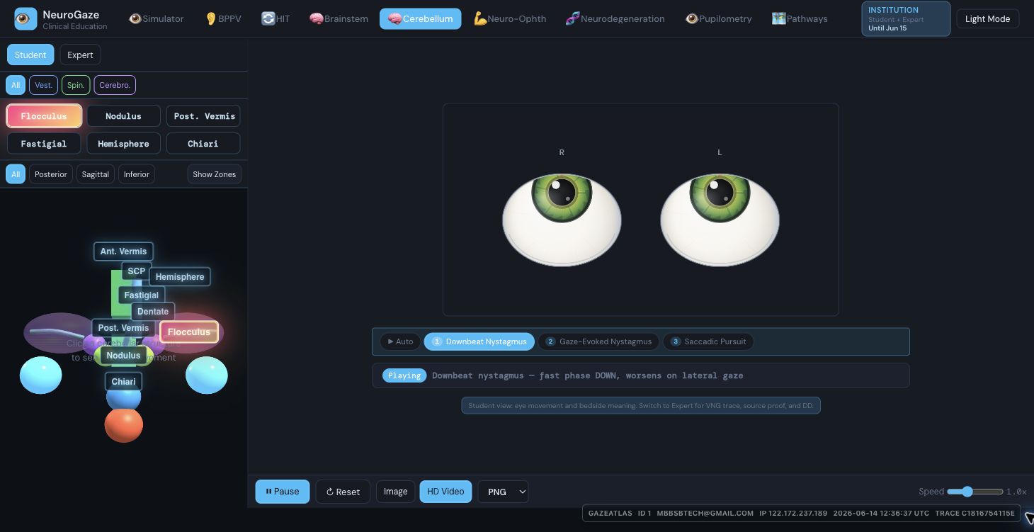 Cerebellum module screenshot